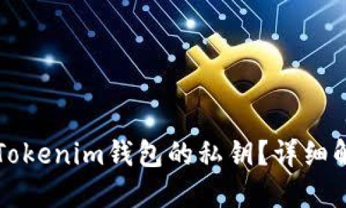 如何找到Tokenim钱包的私钥？详细解读与指南