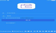 Tokenim与BitPay：加密支付革命的前沿探索