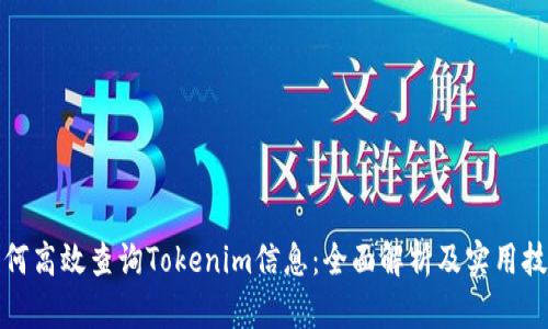 如何高效查询Tokenim信息：全面解析及实用技巧