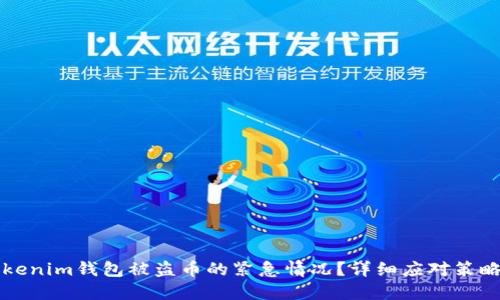 如何处理Tokenim钱包被盗币的紧急情况？详细应对策略与预防指南