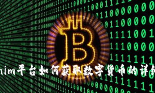 Tokenim平台如何获取数字货币的详细指南