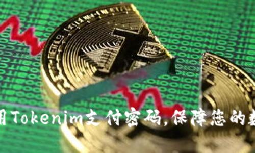 如何安全使用Tokenim支付密码，保障您的数字资产安全