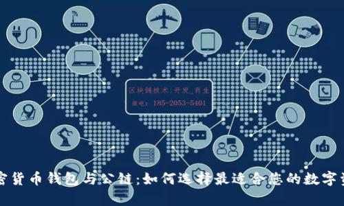 全面解析加密货币钱包与公链：如何选择最适合您的数字资产管理方式