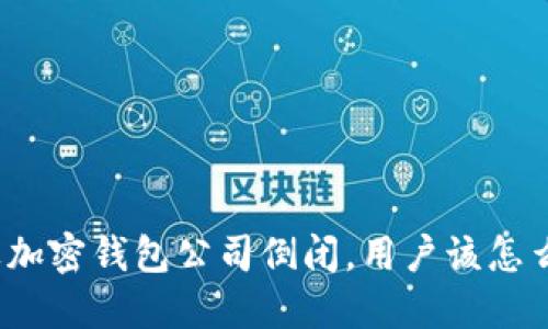 如果加密钱包公司倒闭，用户该怎么办？