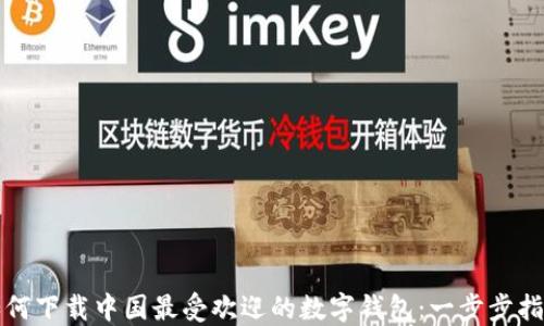 
如何下载中国最受欢迎的数字钱包：一步步指南